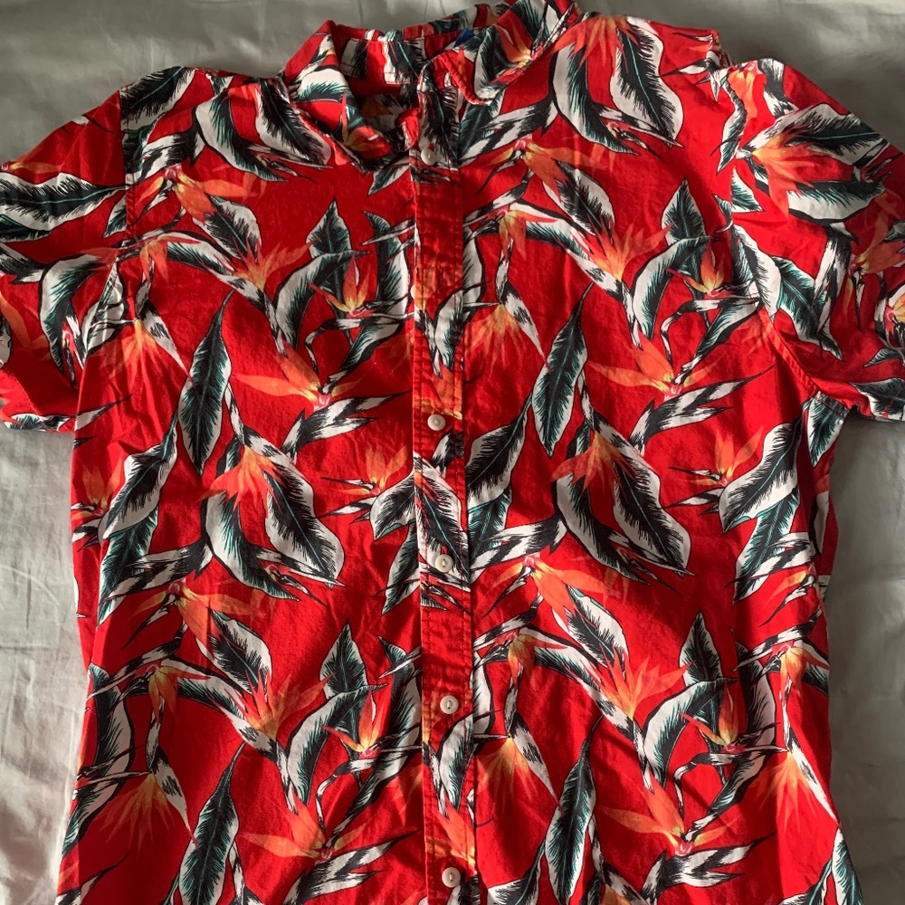 Hawaiian T Shirt